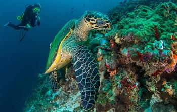 Уникальная флора и фауна